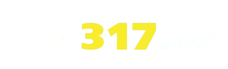 bet317 com